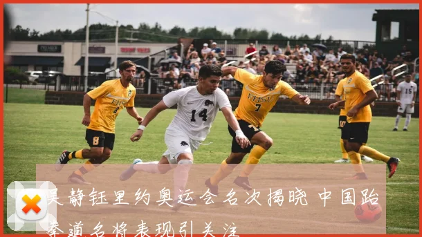 吴静钰里约奥运会名次揭晓 中国跆拳道名将表现引关注