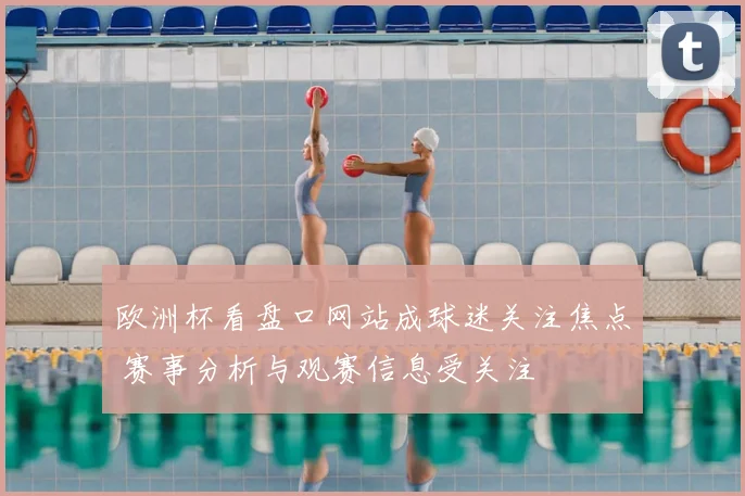 欧洲杯看盘口网站成球迷关注焦点 赛事分析与观赛信息受关注