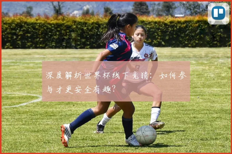 深度解析世界杯线下竞猜：如何参与才更安全有趣？