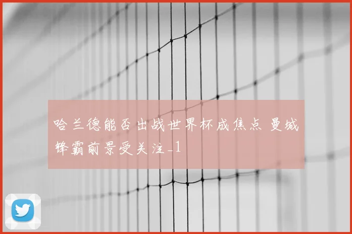 哈兰德能否出战世界杯成焦点 曼城锋霸前景受关注_1