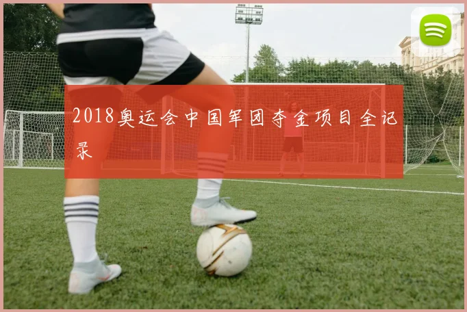 2018奥运会中国军团夺金项目全记录